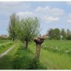 Even achterover leunen groningslandschap